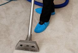 Carpet Cleaning Tottenham