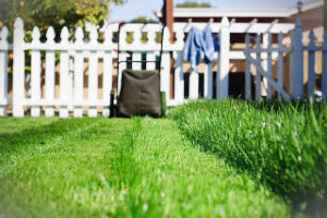 grass-cutting-services-tottenham