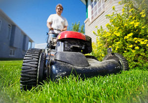 grass-cutting-tottenham